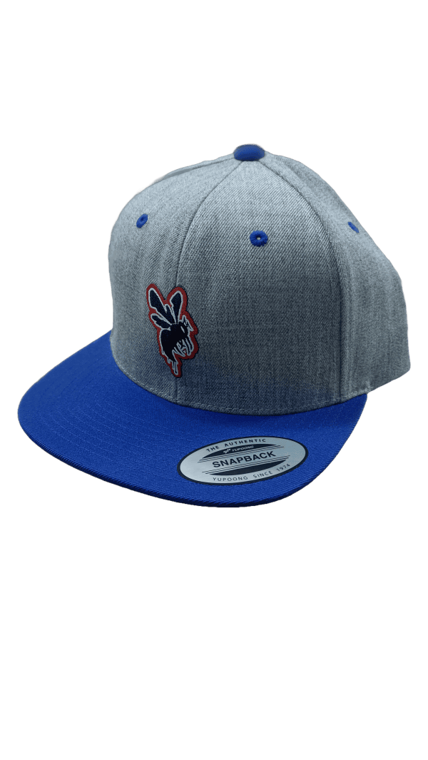 Snapback BzZ GREY
